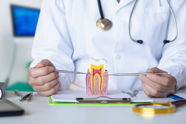 Best Chipped Tooth Repair Near Me  in Los Angeles, CA